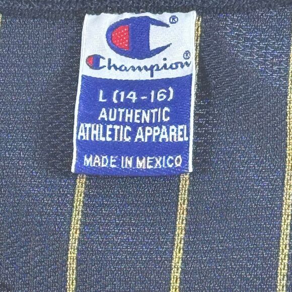 VTG Vintage Reggie Miller #31 Indiana Pacers Champion 90s Pinstripe Jersey NBA - - Picture 4 of 7